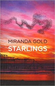 Starlings by Miranda Gold